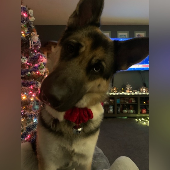 ❤️@mindyg71 💋Like to be Notified When I Go Live❤️❤️ - Picture 10 of 10